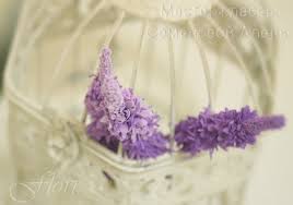 скачанные файлы (7).jpg