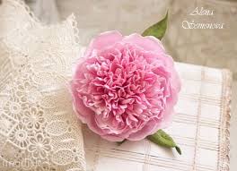 скачанные файлы (8).jpg