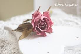 скачанные файлы (9).jpg