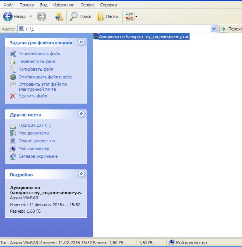 3  Скачанный файл  2016-02.jpg