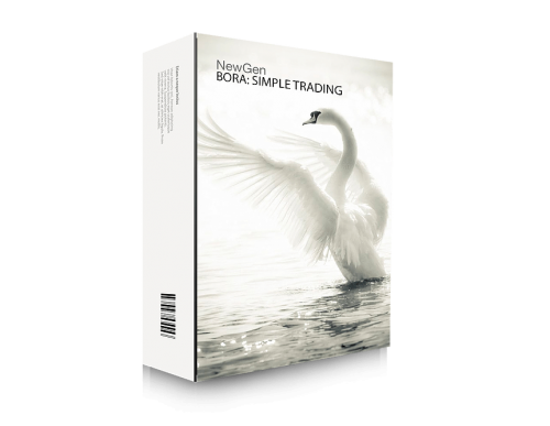 Система BORA Binary Options Trading System-2.png